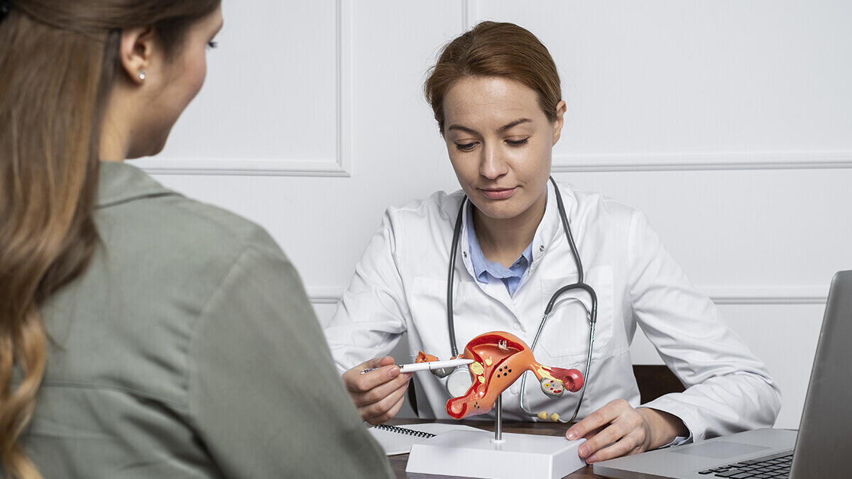 Jornal de Notícias Logo