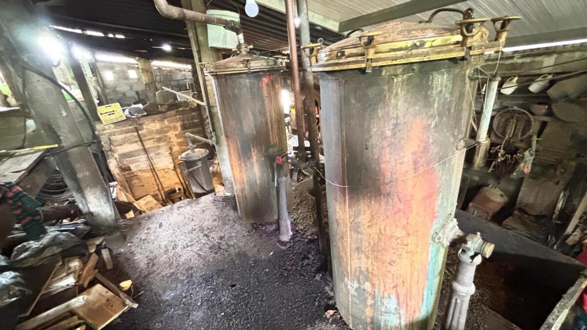 Jornal de Notícias Logo