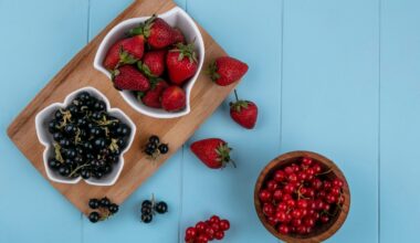 O smoothie que atua como probiótico natural e mantém o colesterol sob controle