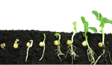 “Fazia muito tempo que não tínhamos uma obra tão completa"