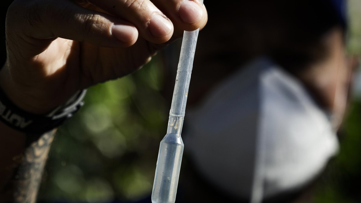 RS registra o menor número de mortes por dengue em quatro anos em 2025