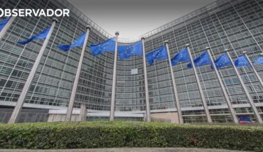 Democracia e uma vaca leiteira. Os prós e contras da adesão – Observador