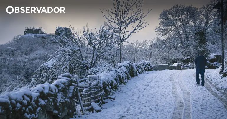 Quatro distritos com aviso amarelo de frio – Observador