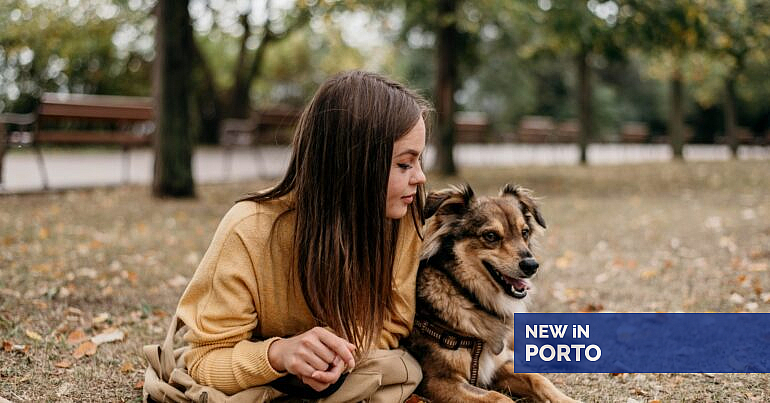 Beija os seus cães? Novo estudo diz que adolescentes que o fazem são mais sociais — New in Porto