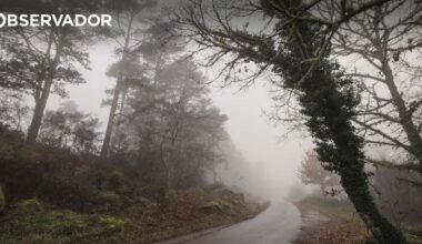 IPMA coloca seis distritos do continente em aviso amarelo – Observador