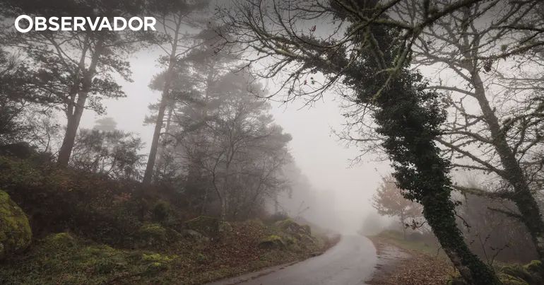 IPMA coloca seis distritos do continente em aviso amarelo – Observador