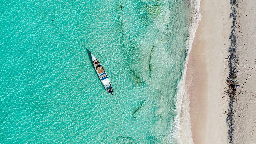 Arquipélago de Socotra: um paraíso perdido