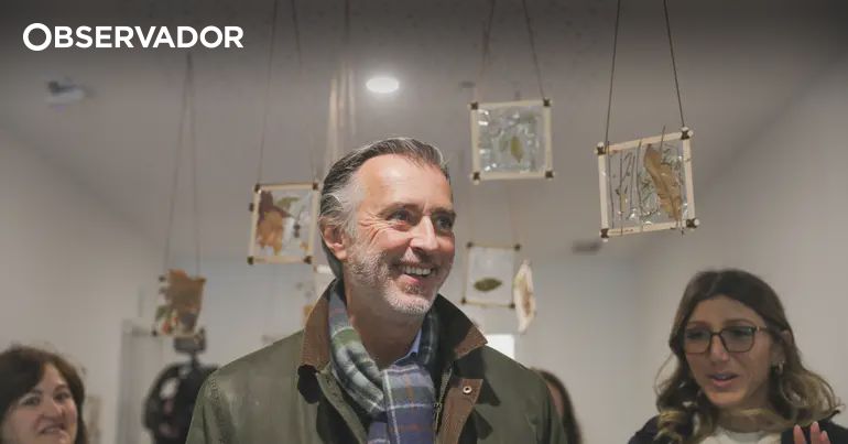 Cotrim escreve carta a Montenegro para negociar 3 reformas – Observador