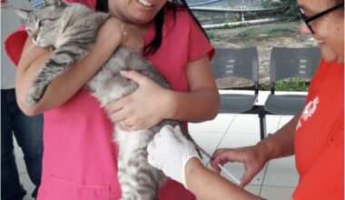 Zoonoses alerta para vacinação de pets após confirmação de novo caso de raiva animal