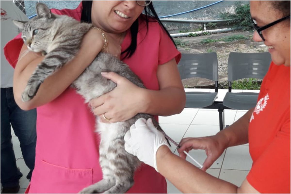 Zoonoses alerta para vacinação de pets após confirmação de novo caso de raiva animal