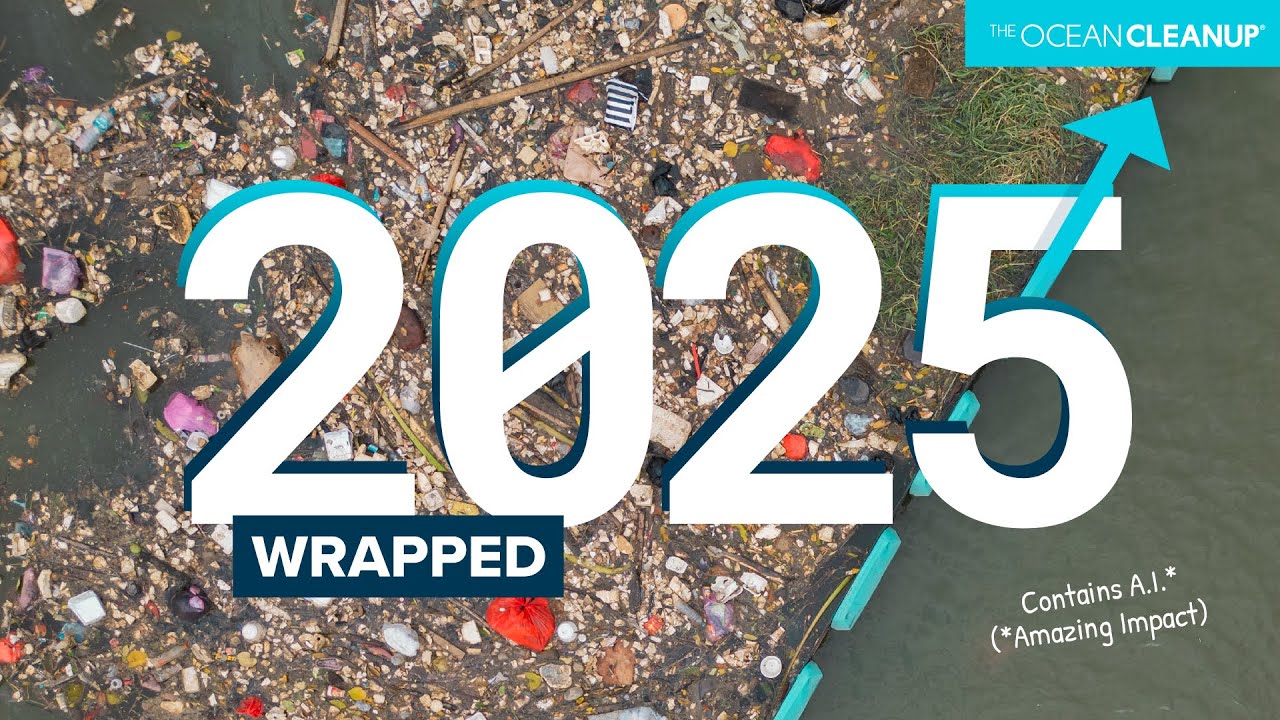 youtube video id=VzDPitOA6_8