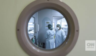 Candida auris: o que é preciso saber sobre este fungo - perigos, proteção, transmissão, fatores de risco, tratamento