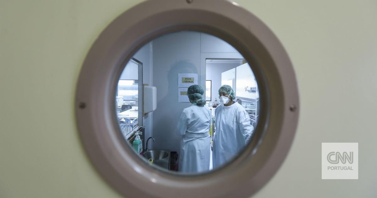 Candida auris: o que é preciso saber sobre este fungo - perigos, proteção, transmissão, fatores de risco, tratamento