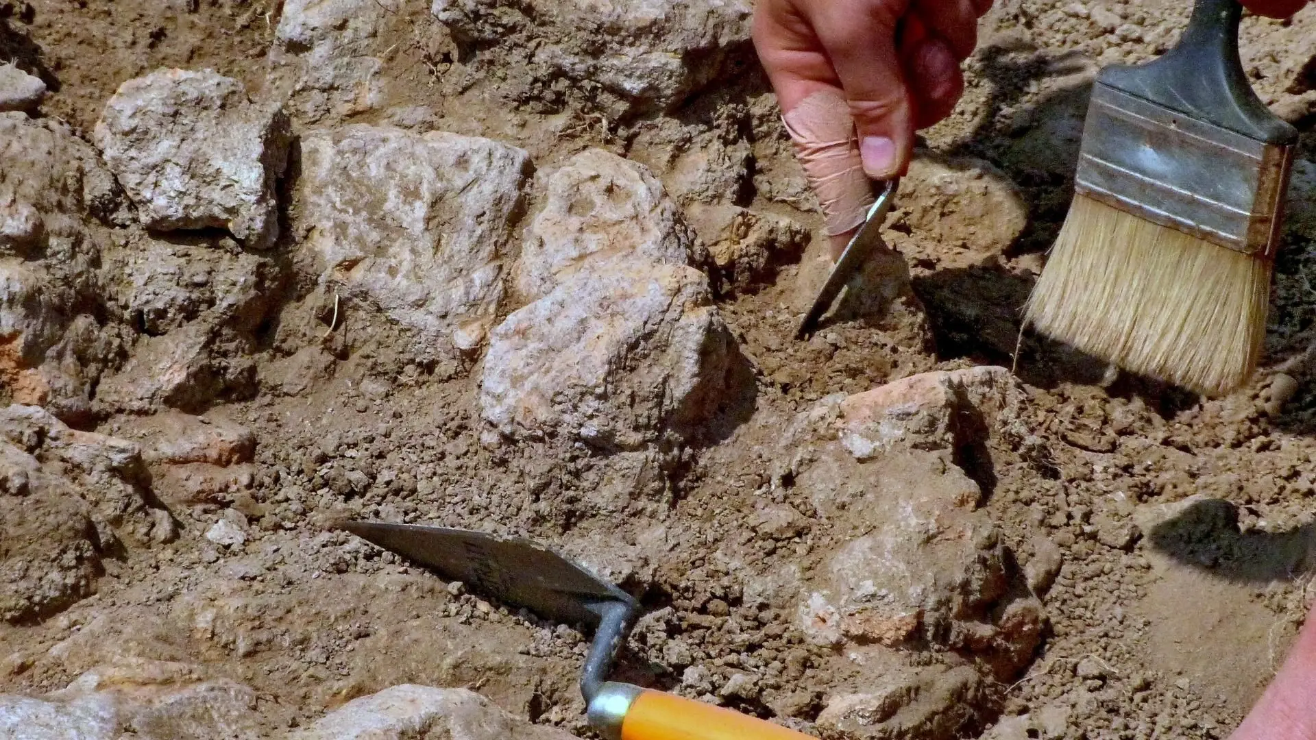 Descoberto em Torres Vedras ninho com ovos de dinossauro com 150 milhões de anos