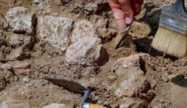 Descoberto em Torres Vedras ninho com ovos de dinossauro com 150 milhões de anos