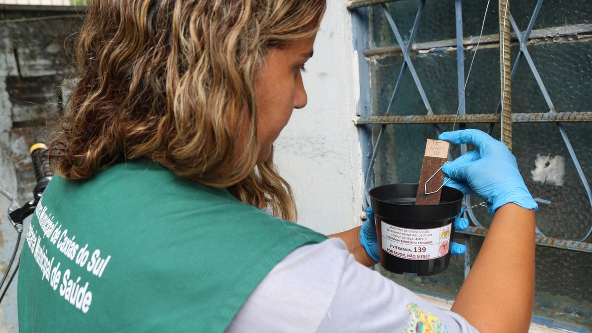 De alerta a controle: como Caxias do Sul reduziu em 64% os casos de dengue em um ano