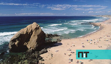 Ninho com ovos de dinossauro com 150 milhões de anos é descoberto na praia de Santa Cruz — NiT