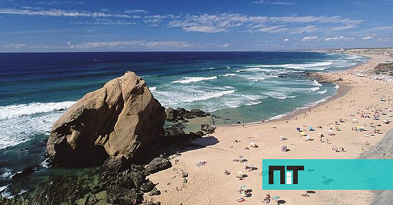 Ninho com ovos de dinossauro com 150 milhões de anos é descoberto na praia de Santa Cruz — NiT