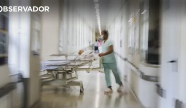 Identificados primeiros casos de Candida auris em Portugal – Observador