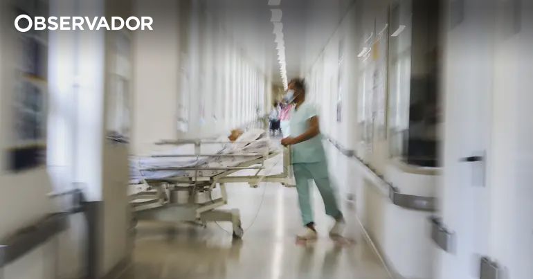 Identificados primeiros casos de Candida auris em Portugal – Observador