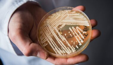 Identificados primeiros casos de infeção pelo fungo 'Candida auris' em Portugal