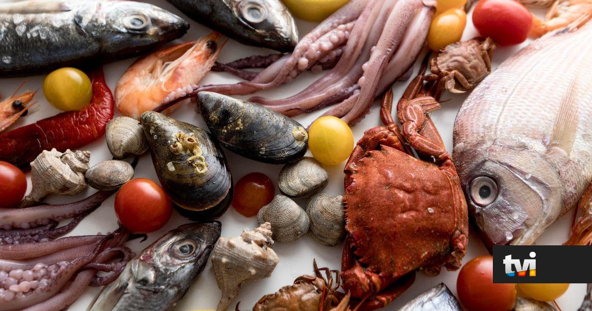 Este peixe deixa a carne e os ovos para trás. Saiba porquê - Dois às 10