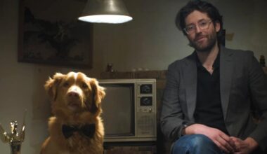 conheça o cachorro que superou astros de Hollywood e venceu prêmio de atuação – R7 Entretenimento