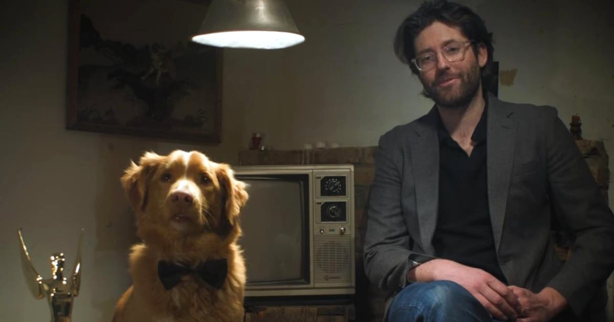 conheça o cachorro que superou astros de Hollywood e venceu prêmio de atuação – R7 Entretenimento