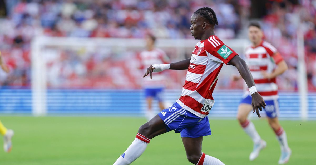 Bernardo Palmeiro aborda mercado do Sporting: «Faye é questão de tempo»