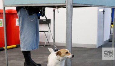 Recontagem de votos? Repetição? Tempo de campanha? Nove questões para perceber o que acontece depois de domingo