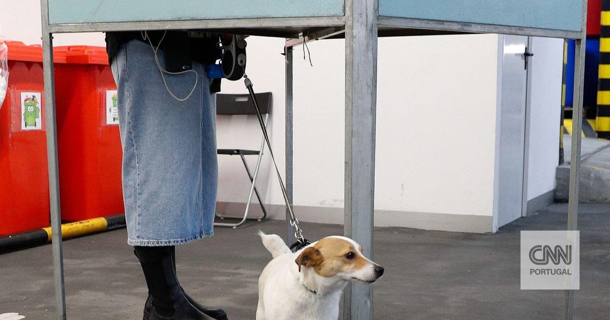 Recontagem de votos? Repetição? Tempo de campanha? Nove questões para perceber o que acontece depois de domingo