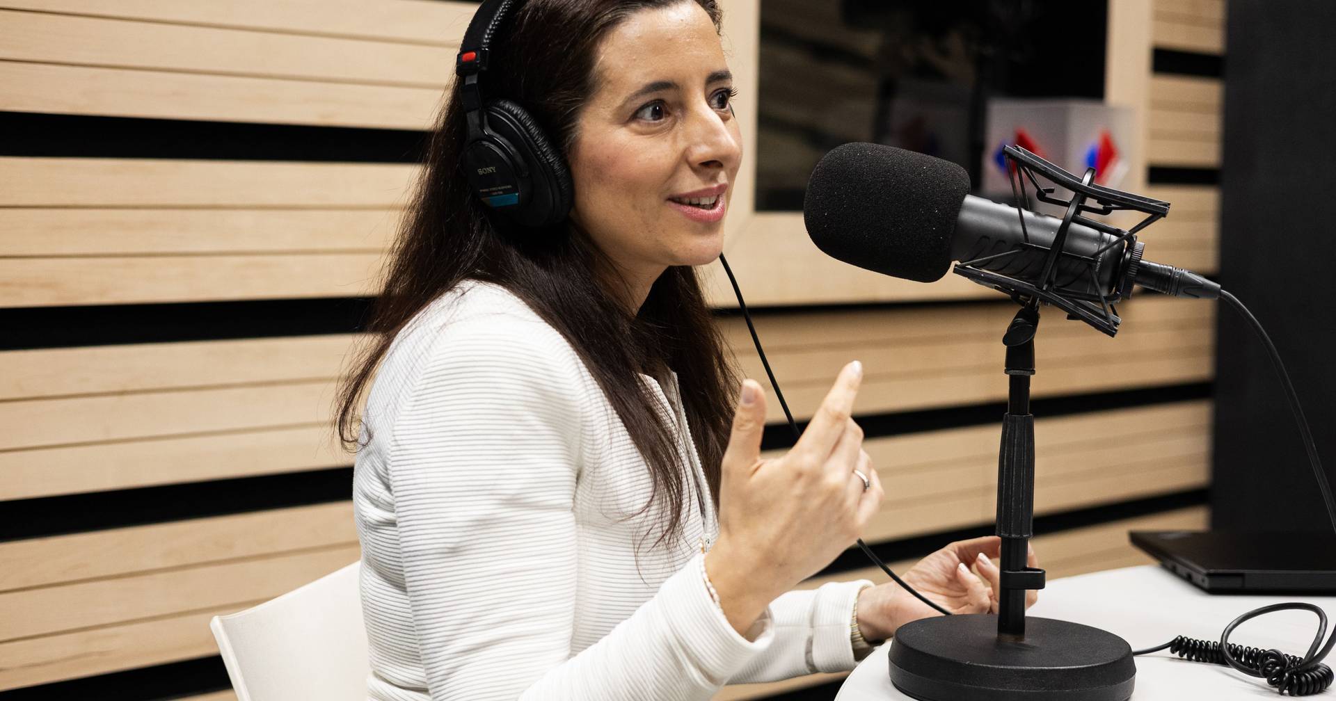 “Em rigor, o presidente poderia bloquear uma lei simplesmente não a promulgando”