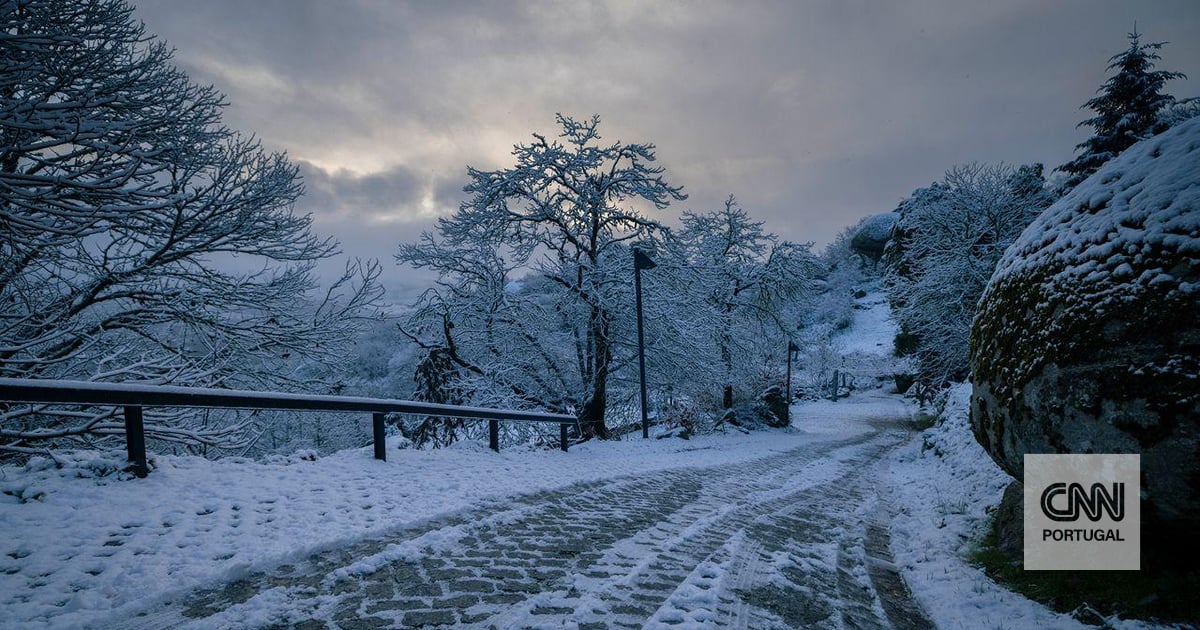 Quinze distritos de Portugal continental sob aviso amarelo devido à neve e ondulação