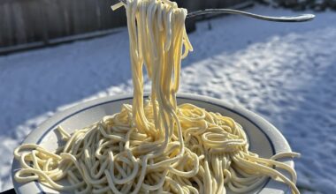 Escultura de gelo? Macarrão fica congelado em meio à nevasca nos EUA – Noticias R7