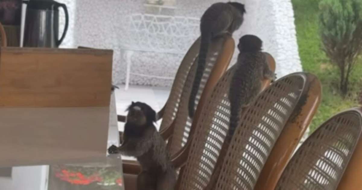 Poliana Rocha se assusta com invasão em sua casa em Goiânia: 'Sinal'