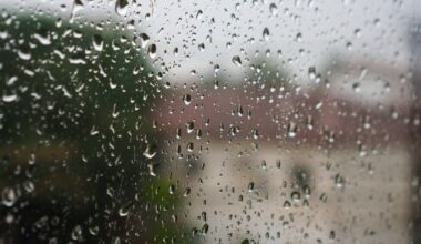 Vários distritos com avisos devido a chuva, vento, neve e agitação marítima