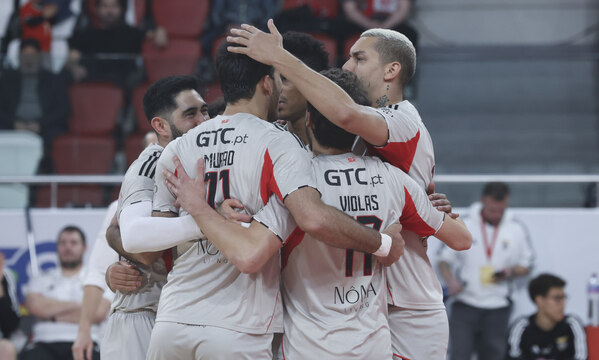 Benfica Leixões Campeonato Voleibol - SL Benfica