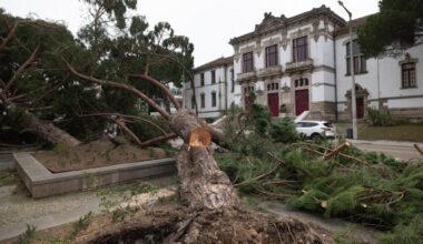 Jornal de Notícias Logo