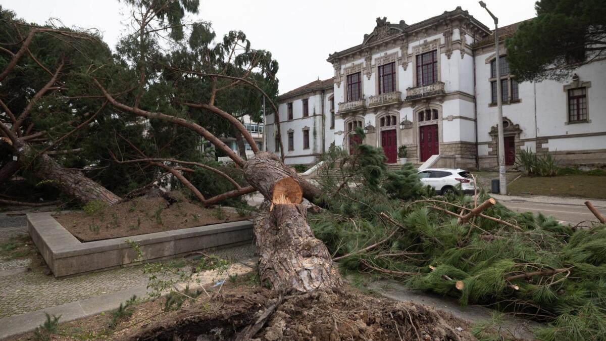 Jornal de Notícias Logo
