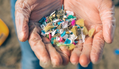 Microplásticos sufocam os oceanos e agravam a crise climática - Instituto Humanitas Unisinos