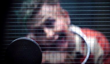 Batman: Parte 2 deve ter retorno de Barry Keoghan como Coringa