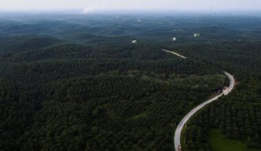 Indonésia Pode Confiscar Mais 5 Mi Hectares de Plantações de Óleo de Palma em 2026