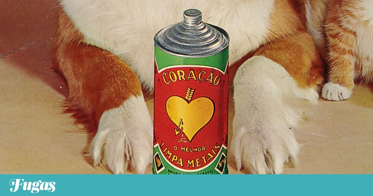 O que fazer? Sexta é dia de abraçar os clássicos e a nostalgia | Lazer