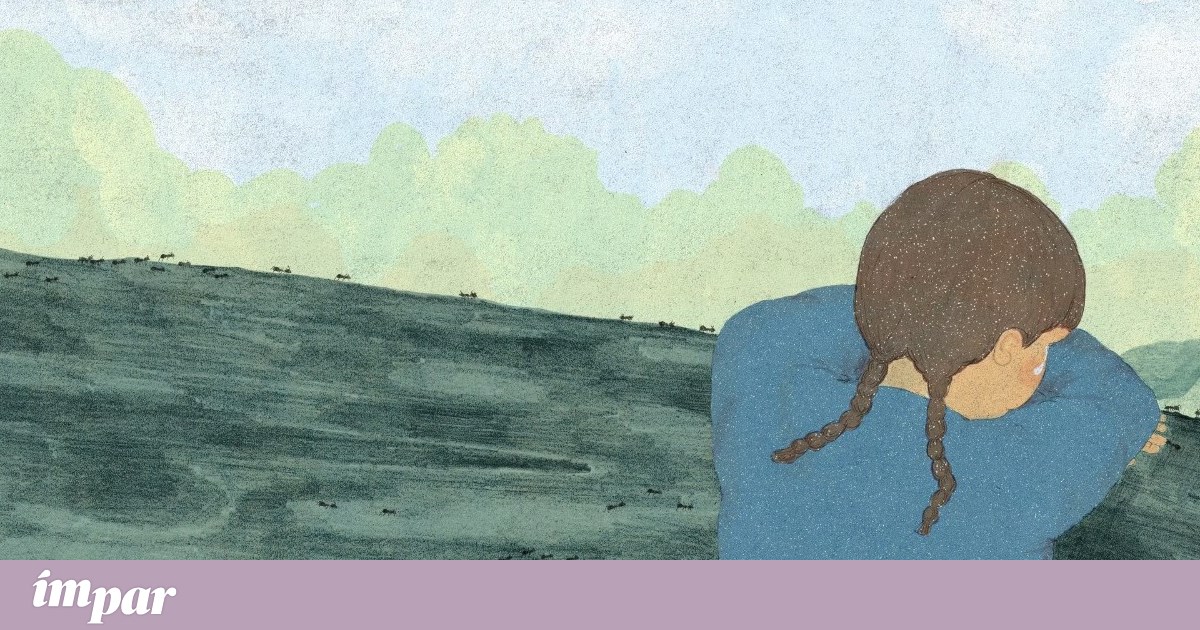 A história verdadeira de uma árvore que renasceu | Livros