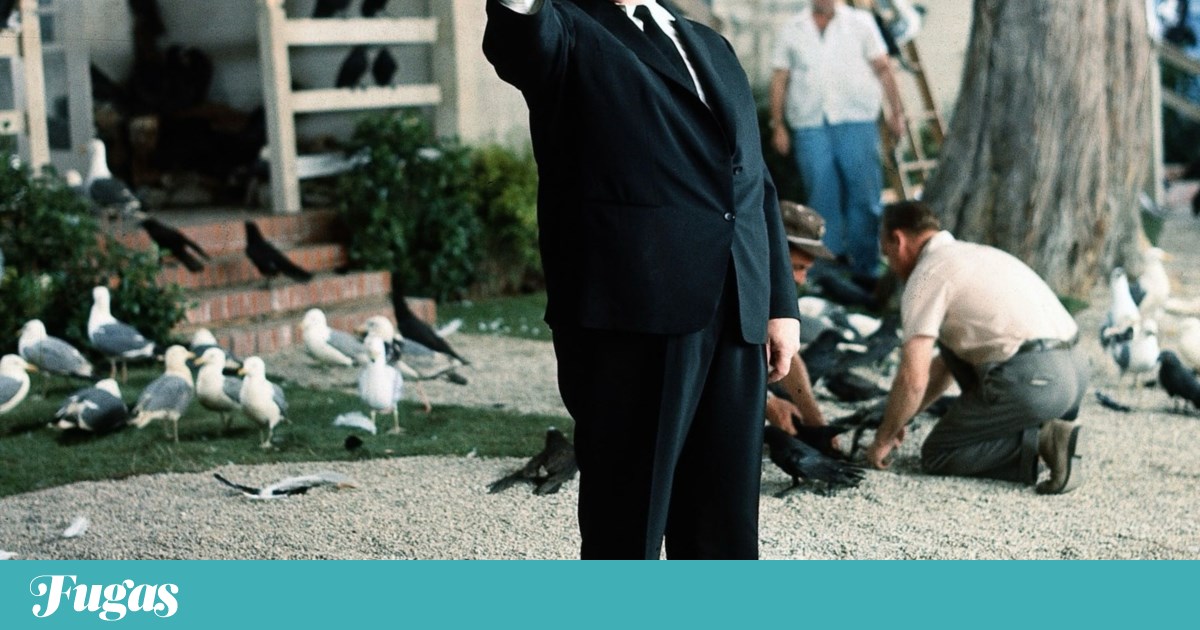 O que fazer? Segunda é dia de celebrar os Reis e o cinema de culto | Lazer