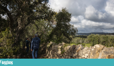 Santa Bárbara de Nexe convida a caminhar “pela natureza e pelas memórias | Algarve