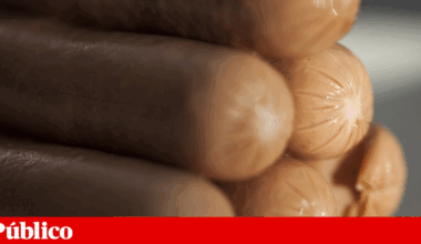 Empresa Sicasal declarada insolvente  | Agro-alimentar