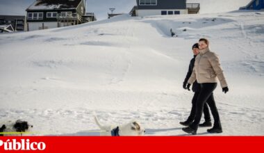 Trump quer dar até 100 mil dólares a cada gronelandês para anexar ilha | Árctico