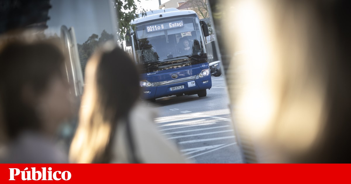 Autarcas do Grande Porto nomeiam ex-vereador de Menezes para liderança da TMP | Área Metropolitana do Porto