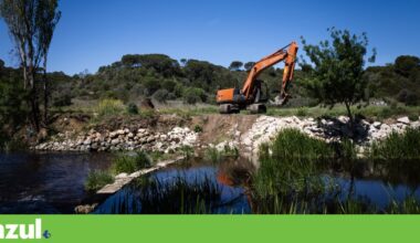 Existem mais de 13 mil barreiras nos rios portugueses. Quantas estão obsoletas? | Ambiente